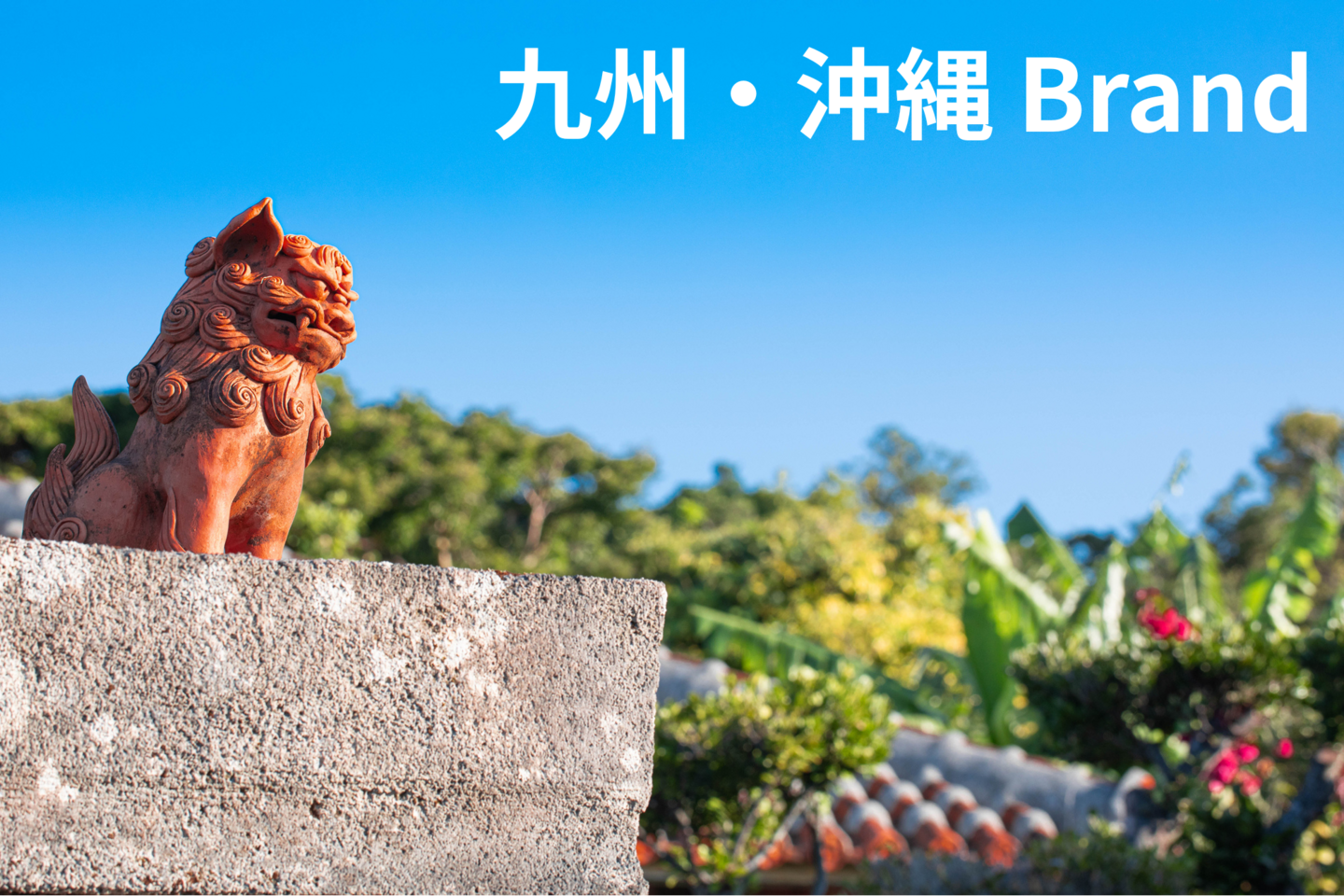 九州沖縄BRAND
